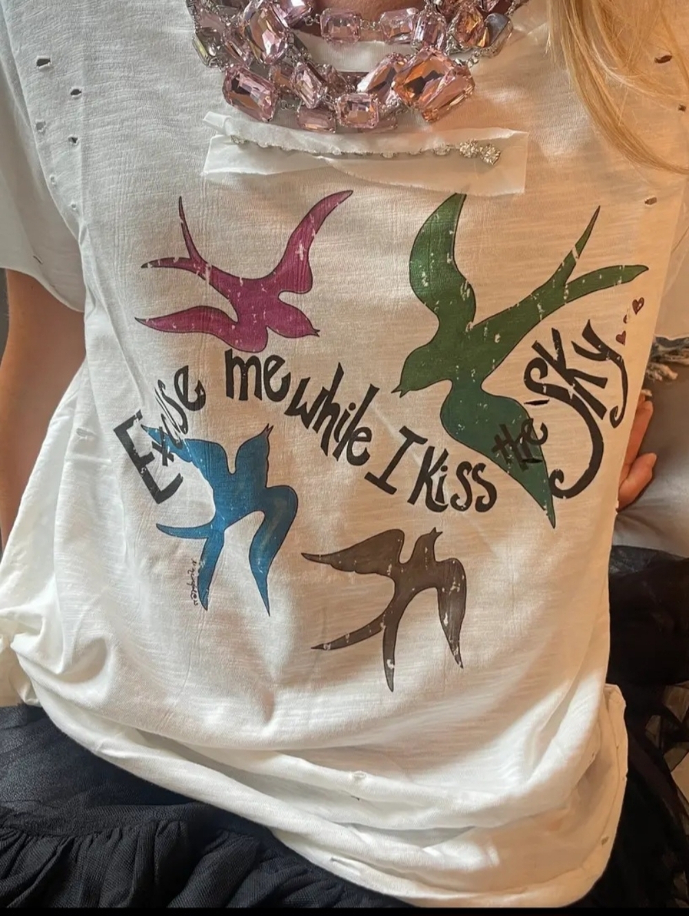 #1546 A Rare Bird Excuse Me While I Kiss the Sky - Jimmy Hendrix Shirt